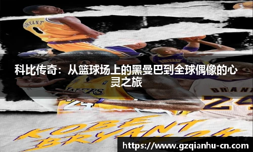 qm球盟会